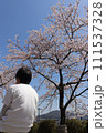 桜と少年 111537328