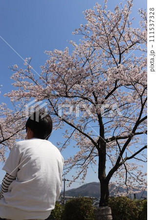 桜と少年 111537328