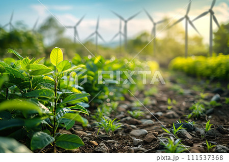 Renewable energy farmland. Generative AI. 111537368