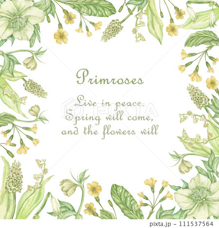 Watercolor green botanical flower frame with forest flowers. Square floral frame. A greeting card template in a frame for an invitation, wedding, birthday, with a place for text. Watercolor green botanical flower frame with forest flowers. Square floral frame. A greeting card template in a frame for an invitation, wedding, birthday, with a place for text. 111537564