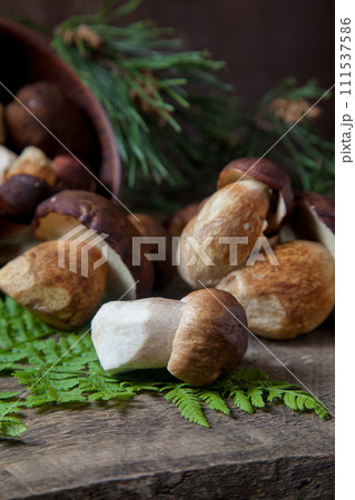 Imleria Badia or Boletus badius mushrooms commonly known as the bay bolete and Porcini mushroom commonly known as Boletus Edulis, clay bowl with mushrooms on vintage wooden background.. Imleria Badia or Boletus badius mushrooms commonly known as the bay bolete and Porcini mushroom commonly known as Boletus Edulis, clay bowl with mushrooms on vintage wooden background.. 111537586