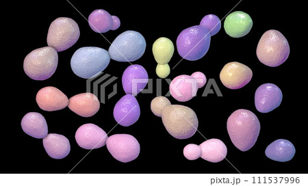 Histoplasma capsulatum yeasts, 3D illustration Histoplasma capsulatum yeasts, 3D illustration 111537996