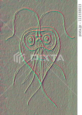 Giardia intestinalis protozoan, 3D illustration Giardia intestinalis protozoan, 3D illustration 111538013