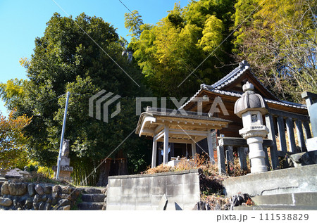 埼玉県小川町増尾のパワースポット 白山神社の御神木 大樫 埼玉県小川町増尾のパワースポット 白山神社の御神木 大樫 111538829