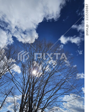 冬の青空 111538987