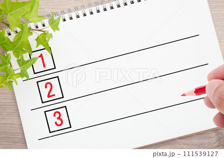 リストと赤鉛筆 111539127