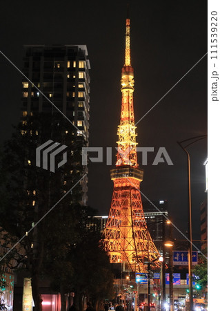 東京タワー　ライトアップされた東京タワー　 111539220