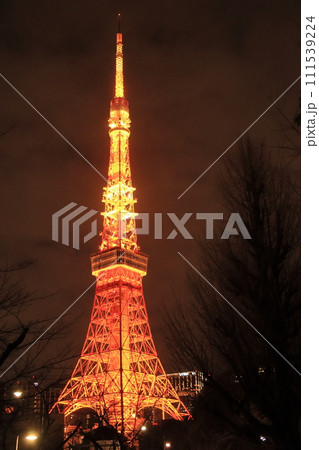 東京タワー　ライトアップされた東京タワー　 111539224