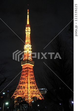 東京タワー　ライトアップされた東京タワー　 111539225