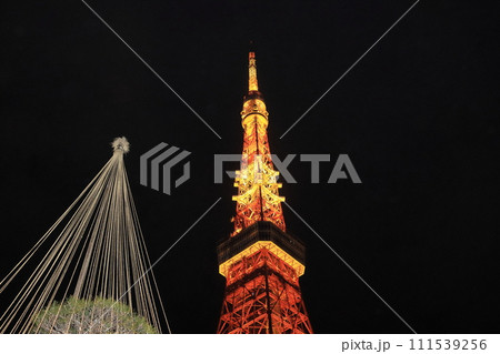 東京タワー　ライトアップされた東京タワー　 111539256