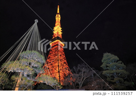 東京タワー ライトアップされた東京タワー 東京タワー ライトアップされた東京タワー 111539257