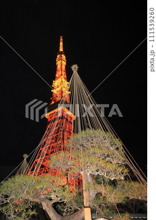 東京タワー　ライトアップされた東京タワー　 111539260