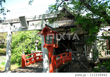 春の六孫王神社を訪れる 春の六孫王神社を訪れる 111539492
