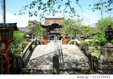 春の六孫王神社を訪れる 111539493