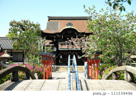 春の六孫王神社を訪れる 111539496