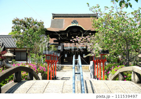 春の六孫王神社を訪れる 111539497