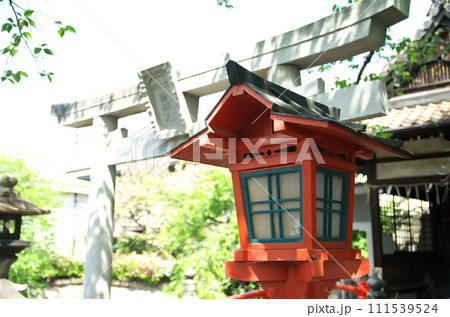 春の六孫王神社を訪れる 春の六孫王神社を訪れる 111539524
