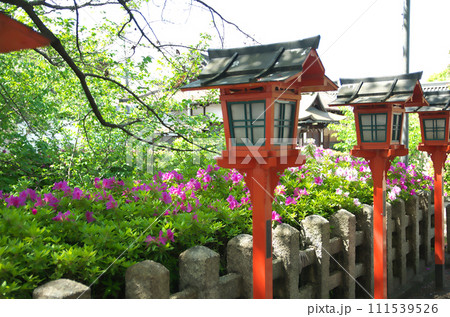 春の六孫王神社を訪れる 春の六孫王神社を訪れる 111539526
