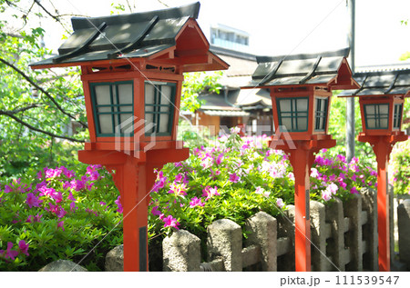 春の六孫王神社を訪れる 春の六孫王神社を訪れる 111539547