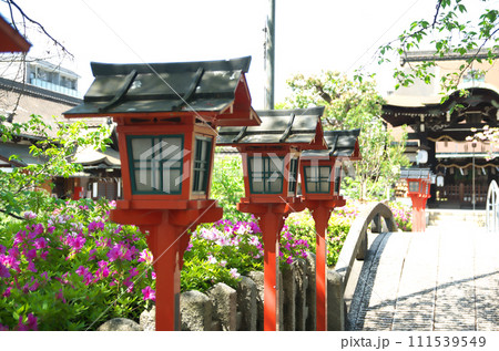 春の六孫王神社を訪れる 111539549