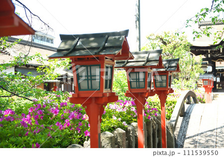 春の六孫王神社を訪れる 111539550