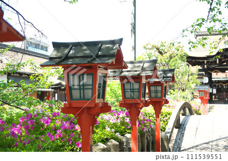 春の六孫王神社を訪れる 春の六孫王神社を訪れる 111539551