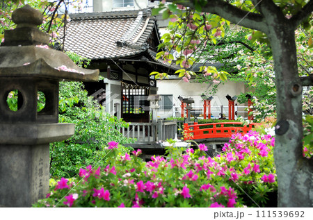 春の六孫王神社を訪れる 春の六孫王神社を訪れる 111539692