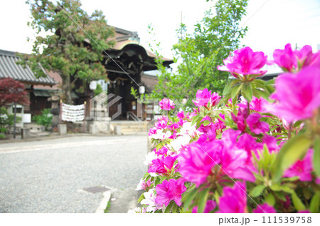 春の六孫王神社を訪れる 春の六孫王神社を訪れる 111539758