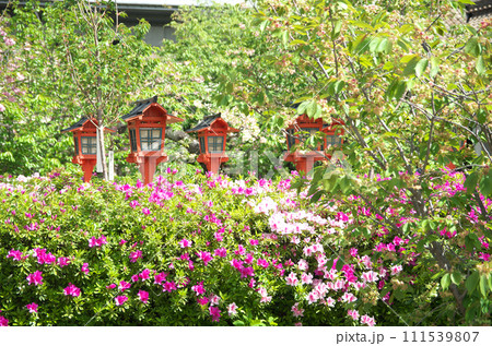 春の六孫王神社を訪れる 春の六孫王神社を訪れる 111539807