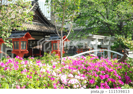 春の六孫王神社を訪れる 春の六孫王神社を訪れる 111539813