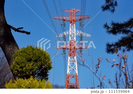 木々の間から見える青空と紅白送電鉄塔 111539964
