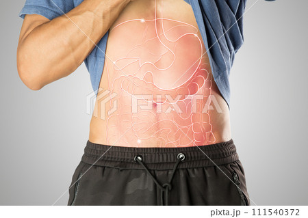 internal organs for human. 111540372