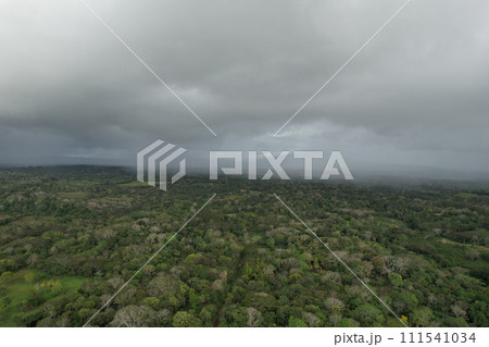 Rainy weather over green tropical landscape Rainy weather over green tropical landscape 111541034