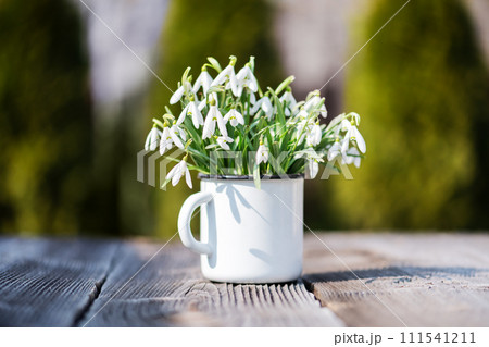 Bouquet of snowdrops in an iron mug 111541211