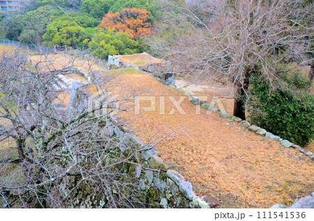 福岡城 小・中天守台跡の石垣 福岡城 小・中天守台跡の石垣 111541536