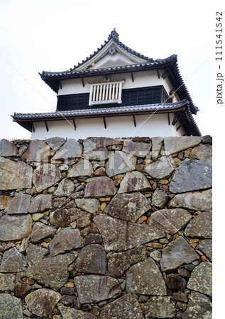 福岡城 (伝)潮見櫓 福岡城 (伝)潮見櫓 111541542