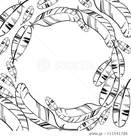 vector frame of hand drawn bird feather with spots, inked monochrome illustration of feather, black and white sketch isolated on white background 111541786
