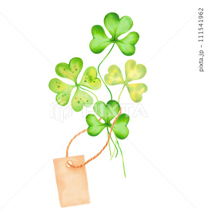 Clover petals with paper brown blank tag on rope.Saint patrick's day mascot.Illustration with watercolor and markers. Hand drawn isolated sketch. Label for your text, concept invitation or template. Clover petals with paper brown blank tag on rope.Saint patrick's day mascot.Illustration with watercolor and markers. Hand drawn isolated sketch. Label for your text, concept invitation or template. 111541962