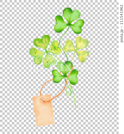 Clover petals with paper brown blank tag on rope.Saint patrick's day mascot.Illustration with watercolor and markers. Hand drawn isolated sketch. Label for your text, concept invitation or template. Clover petals with paper brown blank tag on rope.Saint patrick's day mascot.Illustration with watercolor and markers. Hand drawn isolated sketch. Label for your text, concept invitation or template. 111541962