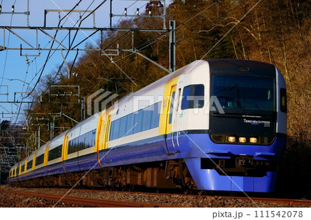 朝日に照らされる255系: 特急しおさい1号の編成写真 111542078