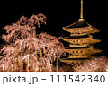 京都・東寺の夜桜(枝垂れ桜)ライトアップ 111542340