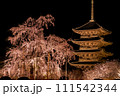 京都・東寺の夜桜(枝垂れ桜)ライトアップ　7 111542344