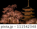 京都・東寺の夜桜(枝垂れ桜)ライトアップ　3 111542348