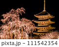 京都・東寺の夜桜(枝垂れ桜)ライトアップ　6 111542354
