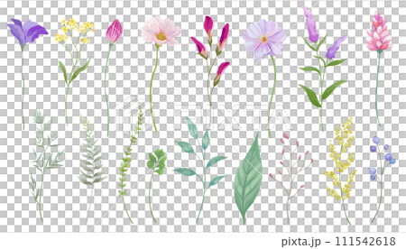 Vector illustration set of pretty flowers and leaves plants 111542618