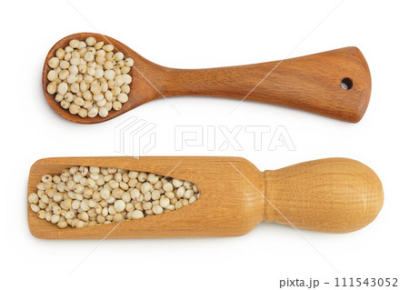 Sorghum seeds in wooden scoop and spoon isolated on white background. Top view. Flat lay. 111543052