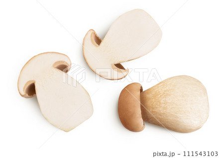 Fresh porcini cep mushroom isolated on white background. Top view. Flat lay. Fresh porcini cep mushroom isolated on white background. Top view. Flat lay. 111543103
