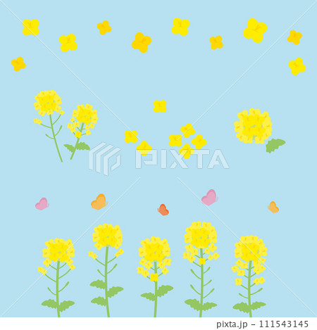 シンプルな菜の花のイラストセット(フラットデザイン) シンプルな菜の花のイラストセット(フラットデザイン) 111543145