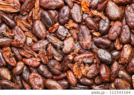 Top view, closeup pile of dry roasted crispy cacao nibs. Top view, closeup pile of dry roasted crispy cacao nibs. 111543164