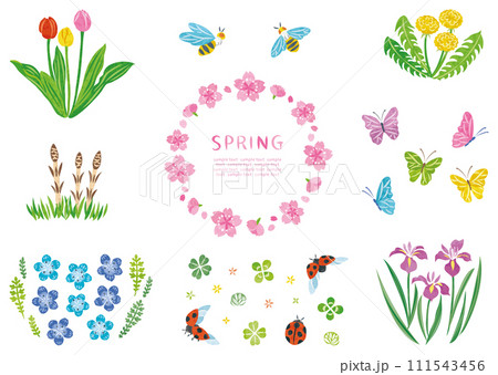 春の植物の花や昆虫のイラストセット 春の植物の花や昆虫のイラストセット 111543456